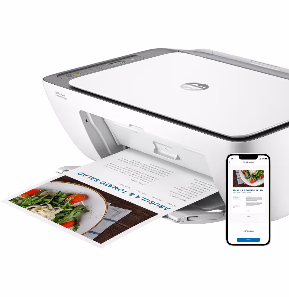 Imprimante multifonction HP DeskJet Encre Advantage 2876 [6W7E6C-614] - vue 2