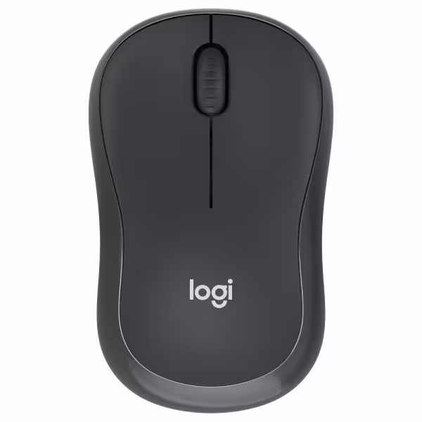 Logitech M240 Silent Souris Sans fil Bluetooth Graphite [910-007119]